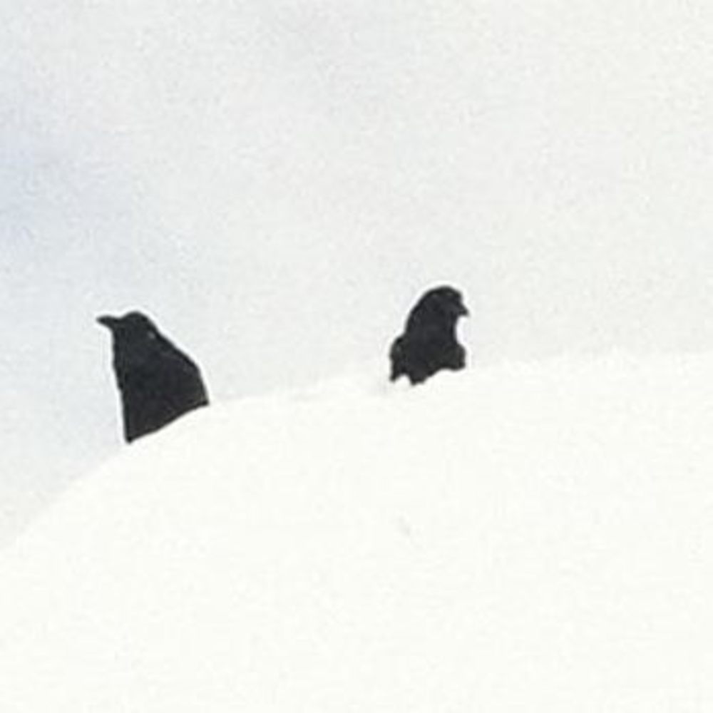 Meet your Posher, Sommer